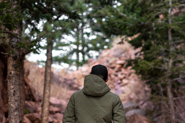 Healthy Benefits of Plant-based Nutrition As Explained by an Expert Nutritionist, Ara Wiseman.