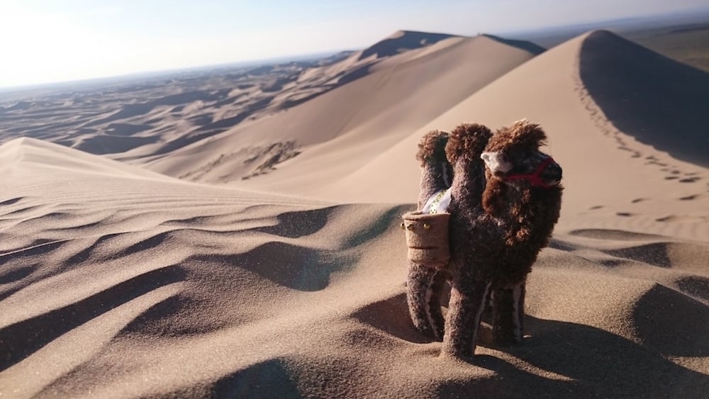 Crossing Mongolia: A Glimpse of Nomad Life