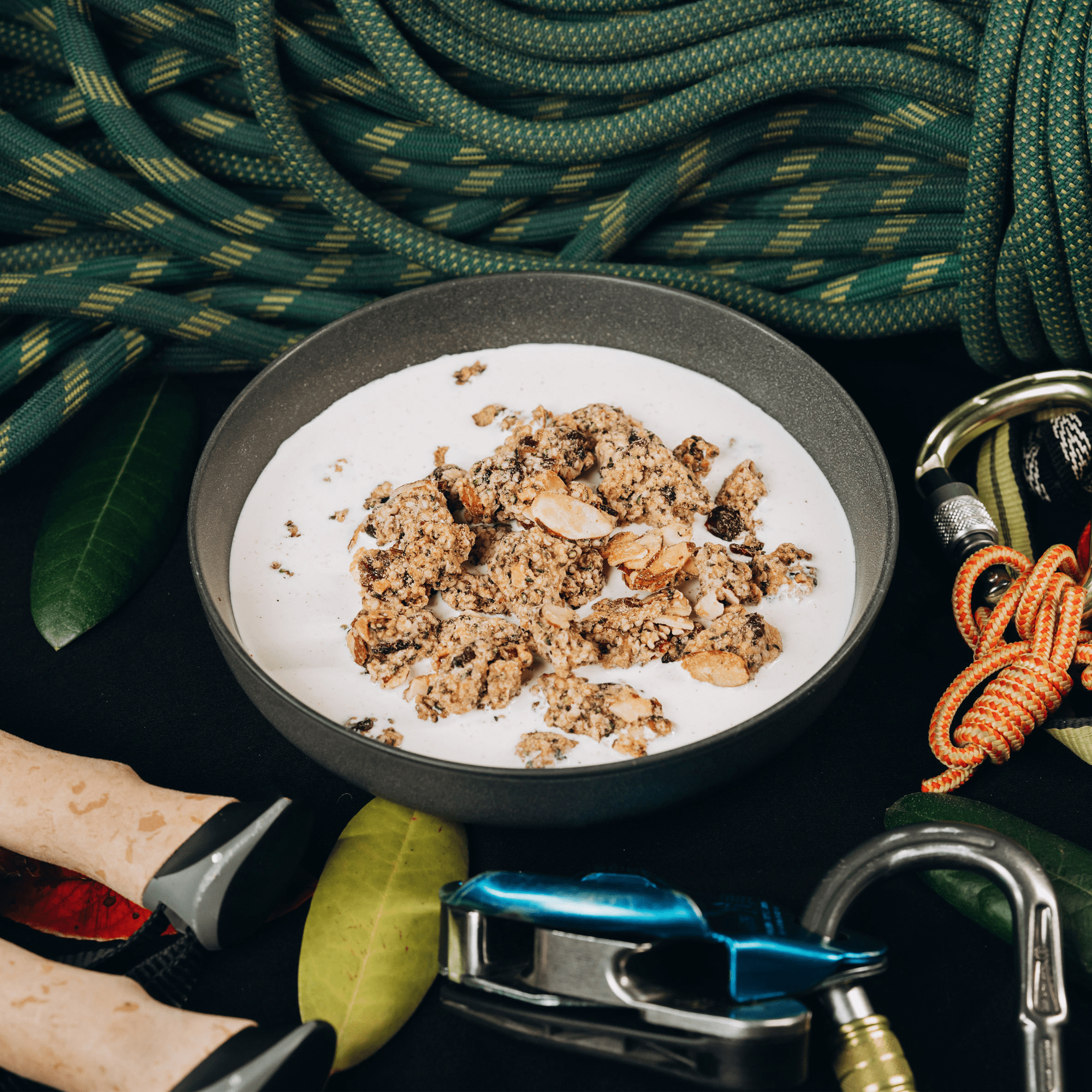 Fruit, Grain, & Protein Snacks